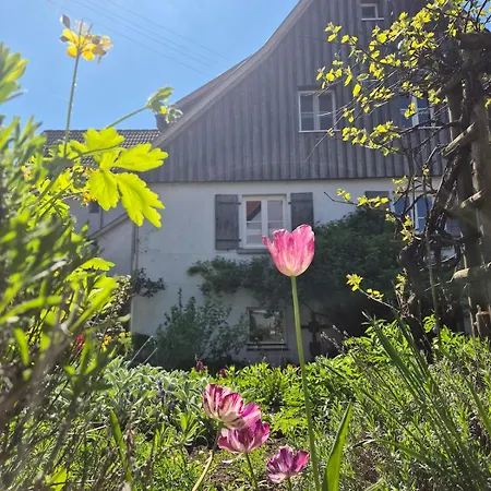 Holiday home Maison Fuchs - Fantastisch-stilvolles